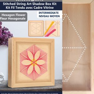 Leisure Arts 11 Hexagon Flower Wood Stitching Kit With Shadow Box