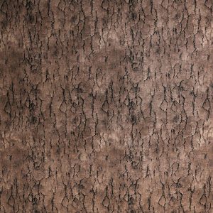 Dark Brown Tree Bark Texture Cotton Fabric by Keepsake Calico - 1