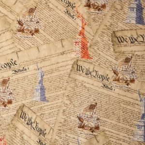 Hi Fashion We The People Patriotic Cotton Fabric