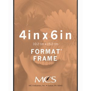 MCS 4 6 Front Loading Black Wall Frame