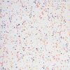 Confetti Streamer Patriotic Cotton Fabric
