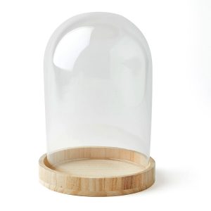 9.5 Dome Top Glass Terrarium by Park Lane