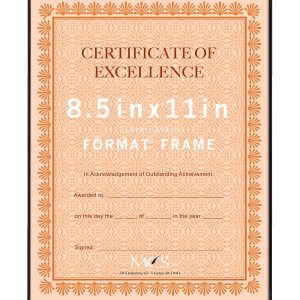 MCS 8.5 x 11 Front Loading Black Wall Frame