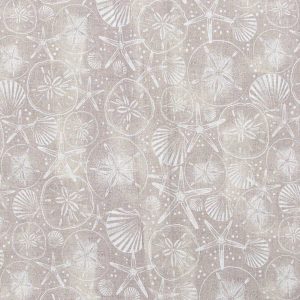 Sandollars And Shells Tan Novelty Cotton Fabric