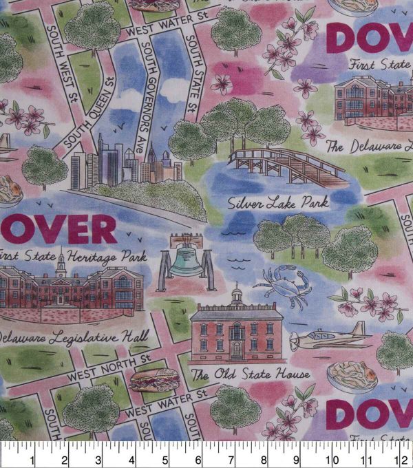 Dover Delaware City Pride Cotton Fabric - Image 2