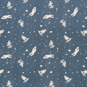 POP! Astronaut Sports Super Snuggle Flannel Fabric