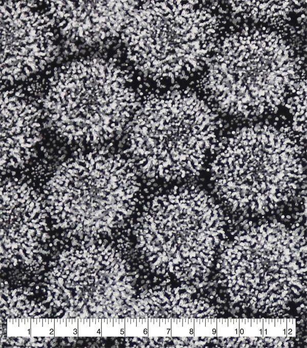 Burst 108 Wide Flannel Fabric
