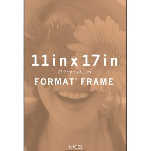 MCS 11 x 17 Front Loading Black Wall Frame