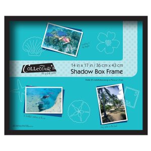 Collector s Museum 14 x 17 Black Shadow Bo x Frame