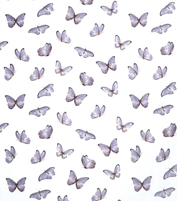 Butterfly Super Snuggle Cotton Fabric