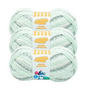 Lion Brand Ice Cream Roving Stripes 437yds Worsted Acrylic Yarn 3 Bundle - Dots