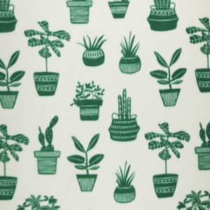 Green Cactus in Pots Anti Pill Fleece Fabric