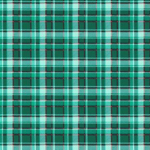 Green Red Plaid Super Snuggle Flannel Fabric