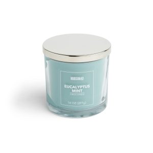 14oz Eucalyptus Mint Scented Jar Candle by Hudson 43