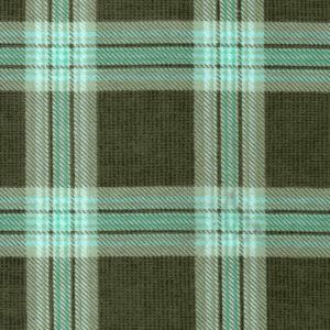 Super Snuggle Flannel Fabric Olive Blue Plaid