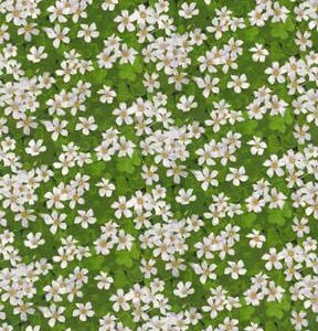 Fabric Traditions Garden Party Jasmines on Green Premium Cotton Fabric - 1