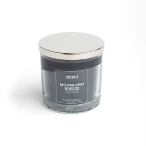 14oz Moonlight Breeze Scented Jar Candle by Hudson 43