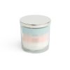 14oz Desert Plume 3 Wick Scented Jar Candle by Hudson 43