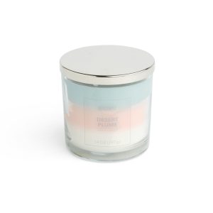14oz Desert Plume 3 Wick Scented Jar Candle by Hudson 43