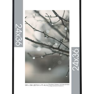 MCS Black 24 36 Gallery Poster Frame