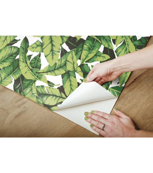 York Wallcoverings Wallpaper Palm Leaf - Image 6