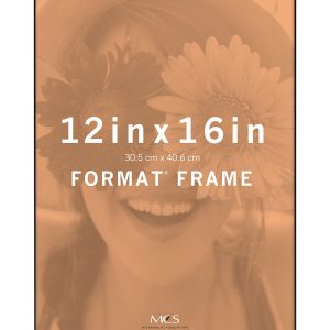 MCS 12 x 16 Front Loading Black Wall Frame