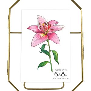MCS 6 x 8 Brass Octagonal Pressed Glass Floating Frame