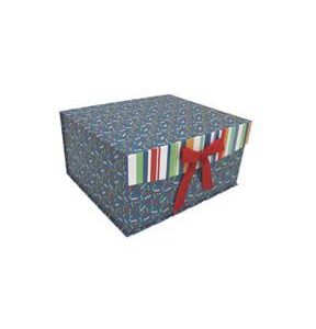 12 Dog Prints on Blue Flip Top Box With Bow by Place   Time