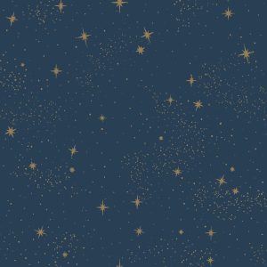 RoomMates Wallpaper Dark Blue Upon a Star