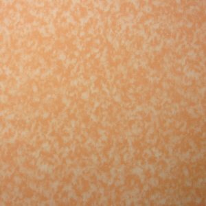 Peach Tonal Cotton Fabric by Keepsake Calico