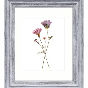 BP 8 10 Distressed Blue Wash Wall Photo Frame