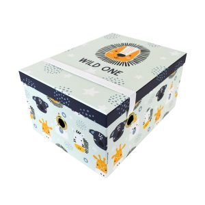 13.5 Wild One Rectangle Box With Elastic Closure