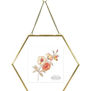 MCS 10 11.5 Brass Pressed Hexagonal Float Picture Frame