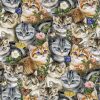 Kittens   Butterflies Novelty Cotton Fabric