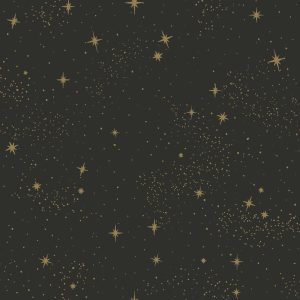 RoomMates Wallpaper Black Upon a Star