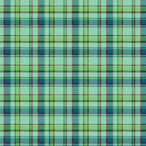 Mint Blue Red Plaid Super Snuggle Flannel Fabric