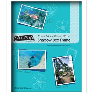 Collector s Museum 11 14 Omega White Shadow Box Frame