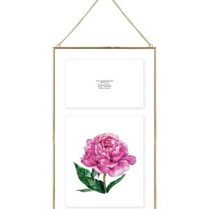 MCS 12 x 20 Brass Pressed Hanging Float Picture Frame