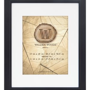 Walden Woods 16 20 Matted to 11 14 Black Wall Frame