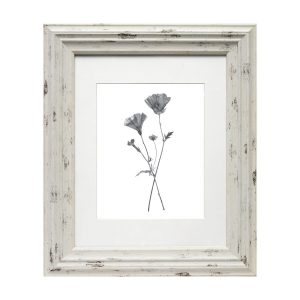 BP 8 10 Distressed Cream Wall Photo Frame