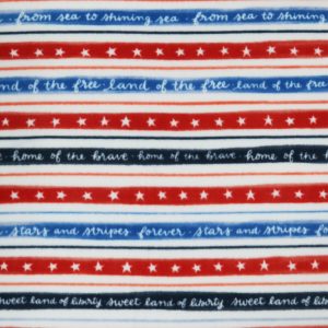 Patriotic Words Stripes Anti Pill Fleece Fabric