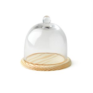 5 Dome Handle Top Glass Terrarium by Park Lane