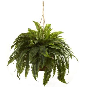 Nearly Natural Double Giant Boston Fern in Hanging Basket
