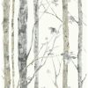 RoomMates Wallpaper Birch Trees
