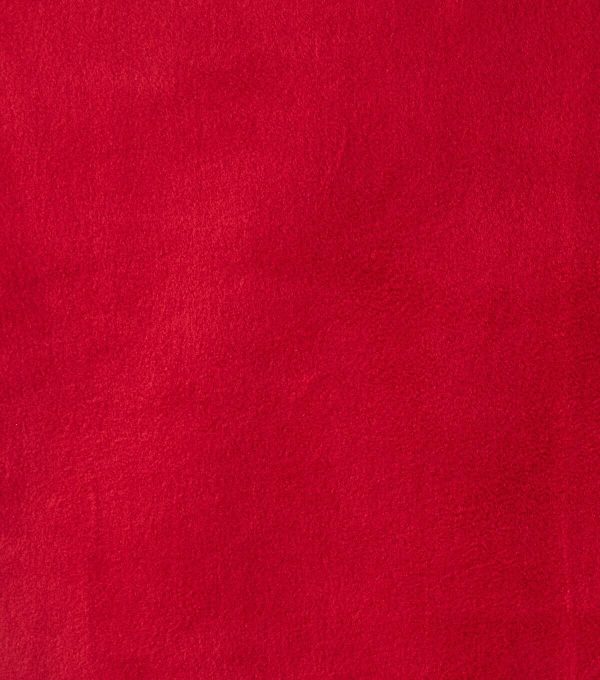 Eddie Bauer Rhubarb Premium Fleece Fabric - Image 2
