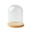 4 Dome Top Glass Terrarium by Park Lane