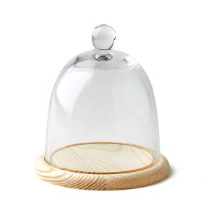 6 Dome Handle Top Glass Terrarium by Park Lane
