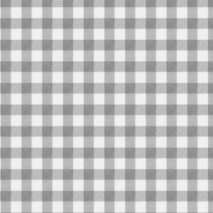 Gingham Blue Super Snuggle Flannel Fabric