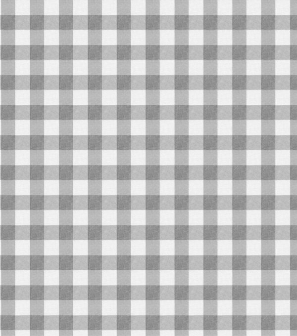 Gingham Blue Super Snuggle Flannel Fabric