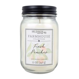 12oz Fresh Peaches Scented Mason Jar Candle by Hudson 43